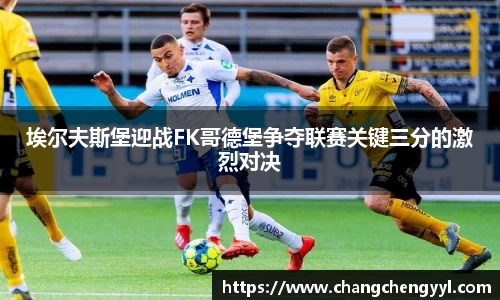 EMC易倍体育EMC SPORTS