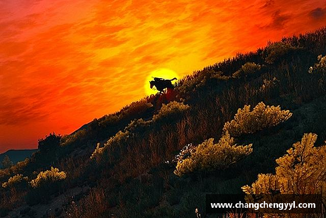 关于EMC易倍体育